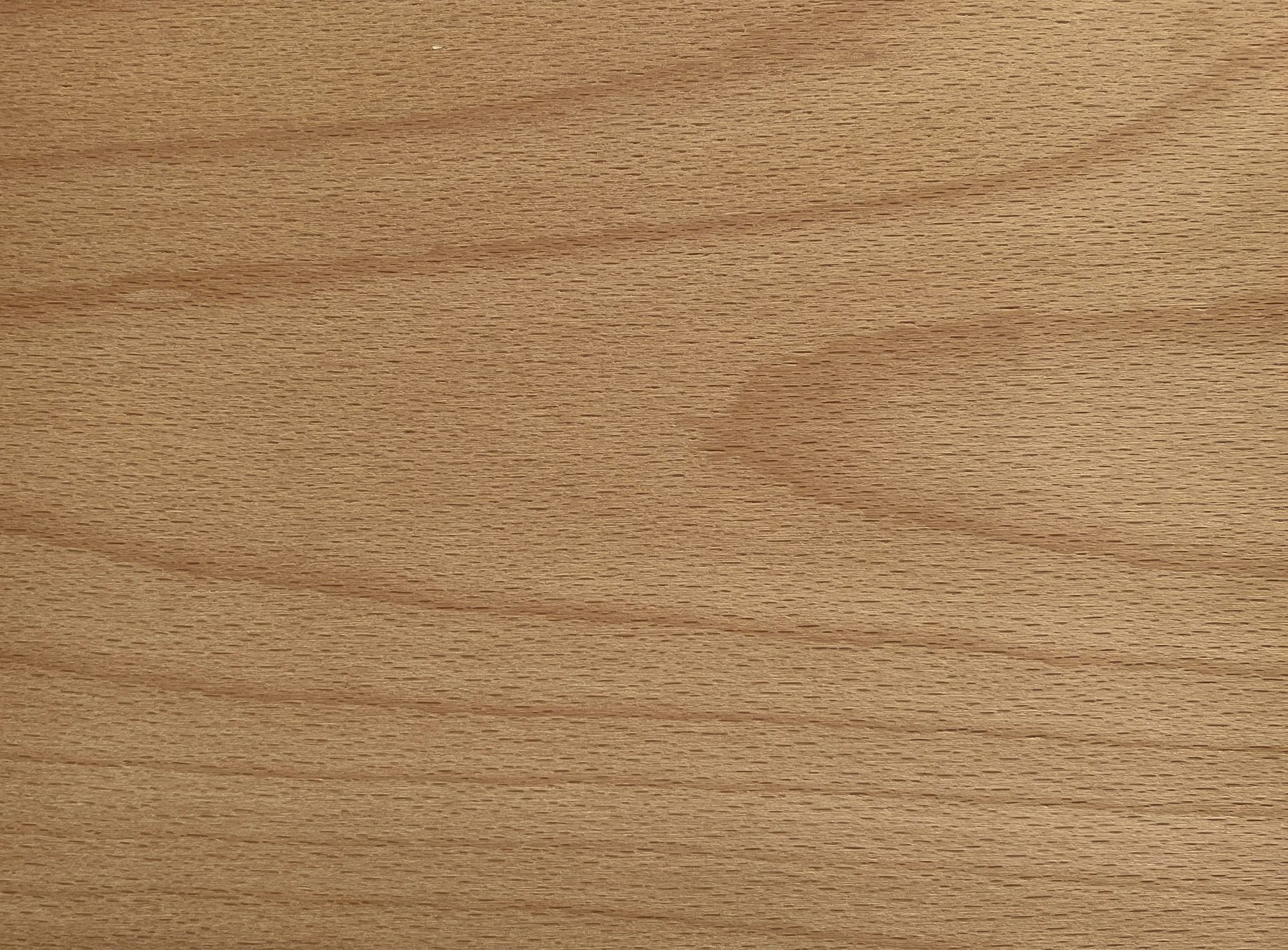 Steamed Beech PremierForest